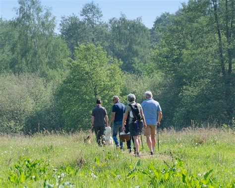 omgeving peer|Activiteiten in de buurt van peer